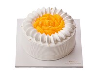 Citrus Chiffon Cake