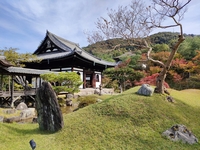 高台寺拝観付 ハーフコースランチ全4品