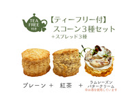 [3-4] Scone set of 3 types (plain, Earl Grey tea, rum raisin) with 3 types of spreads and unlimited tea.