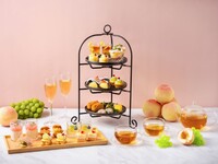 [Japanese Afternoon Tea] Seasonal sweets and meals + free Ibi tea, black tea, etc.