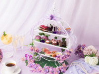 【アクアリウム☆アフタヌーンティー】"雨に恋する"紫陽花アフタヌーンティー＆ワインとカフェをお好きなだけ！