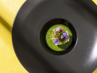 Harmony 5 Course