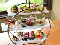 [Afternoon tea with Yame matcha and Fukuoka fruit] Free refills of Mighty Leaf tea