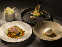 KASA/【シェフズコース】肉×魚 Wメインの旬の食材を楽しむコース4品＋モエ・エ・シャンドン2時間飲み放題