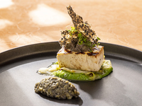 KASA/【シェフズコース】肉×魚 Wメインの旬の食材を楽しむコース4品＋2種のスパークリングワイン2時間飲み放題