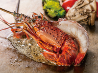 ランチ【限定ロブスターコース 】ロブスター、厳選国産牛サーロインステーキ、デザート等全7品