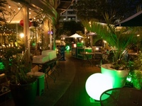 7月〜【夏季テラス限定】2時間飲み放題付き♪定番のスチームチキンやお酒に合うお料理全7品テラスプラン
