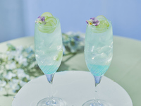 ＜平日・スペシャルドリンク付き＞THE NATIONAL GALLERY LONDON AFTERNOON TEA -Monet-　マリアージュフレール1杯＋その他ドリンクお替り自由