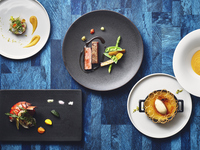 Dinner Course ~VISTA~ 
