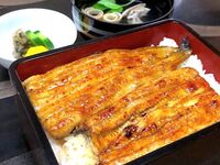Charcoal grilled eel multi-course meal B