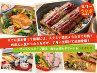 6/1~  うなぎが追加登場★フレッシュハーブ薫る　魚もお肉もデザートも！アルコール飲み放題【土日祝】1部