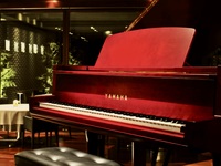 JazzNight