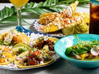 PARTY CASUAL COURSE