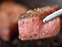 WEB予約限定：あけぼの味わいコース｜厳選牛ヒレステーキ（150g）