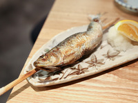 ●旬の料理のみコース
