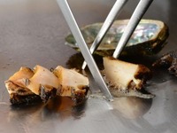 【ディナー】活蝦夷鮑の踊り焼きと黒毛和牛のコース