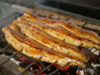 鰻かば焼き　200g　2,920円