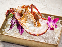 Spiny lobster (half)