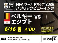 【6/16（火）ベルギー VS エジプト】⚽サッカー観戦パック3時間
