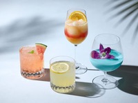 Summer Cocktails 飲み比べセット