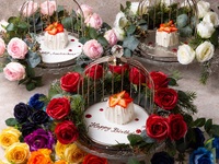 July [Anniversary & Fan Activity C ~9 ROSE WISHES~] A "Rose Veil Cake" in all 9 colors to express your feelings to your loved one with roses + 9 Collars cocktail, 13 dishes in 9 courses including "Wagyu Beef Pie x Luxurious Appetizers"
