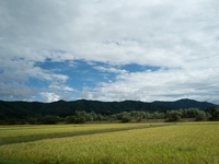 向夏日食材致敬，从森林到岛屿