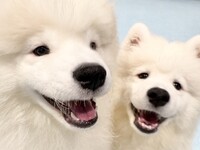 ≪평일≫ 통상 티켓(50분)