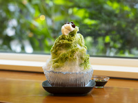 かき氷【抹茶和三盆】