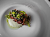 Seasonal Omakase Course (Counter Seating)