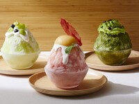 【ポイント利用キャンペーン】氷菓　極　～パティシエが贈る贅沢かき氷～　1名様分