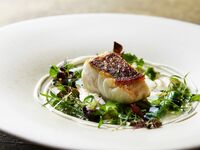 【Early booking plan 25%OFF】Lunch Menu "Platino" Limited-Time Offer: December 1–January 31