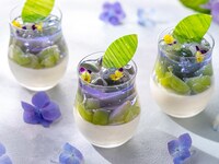 [Prepayment] Mini Parfait ~Hydrangea~