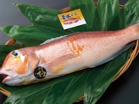 Wakasa sweet sea bream kaiseki at Hamacho Obata