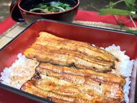 うなぎ重＆うしお鉄板焼　A コース