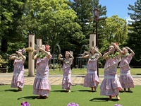 【10周年記念企画：7/27・7/28】＜ウエルカムドリンク＆ハワイアン フラダンスショー付き＞ランチ！沖縄×ハワイの絶品グルメとフラダンスで盛り上がる特別な夏休み！「HulaStudio LanaPono&Le’a」幼児
