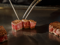 [Limited Time] Premium Matsusaka Beef Course ~ with glass of champagne ~