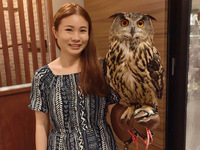 【60分大人】 触れ合い＋フクロウ乗せ体験＋1オーダー制