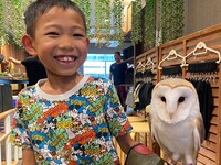 【80分小学生以下4～12歳】 触れ合い＋フクロウ乗せ体験＋1オーダー制