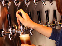 “Draft Craft Beer Tasting Course”