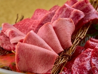 ランチ限定　新【今日は焼肉だけセットPREMIUM】今日はお肉の日！そんな日に楽しめるセットをご用意いたしました。厳選焼肉9枚ご用意！