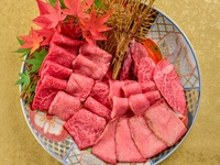 【今日は焼肉だけセットPREMIUM】今日はお肉の日！そんな日に楽しめるセットをご用意いたしました。厳選焼肉9枚ご用意！塩とタレの味付け比率はお選び頂けます。