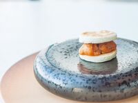 Limited time only!! [Dinner Menu S] A special course where the popular wine pairing is available at half price.