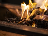 【6～８】FIRE LUNCH BUFFET+1drink