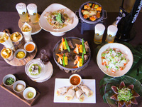 RISTASIX Summer Party Plan