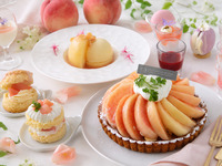 Peach Dessert Buffet – Adults