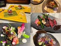 "Yazawa" Course (11 Courses) — Great for Gathering After Sightseeing!