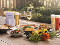 Peroni Beer Garden Plan + Free Flow [8800]