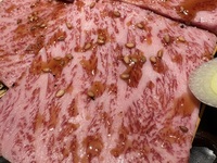 [Recommended by international guests] Excellent Course (no raw meat or offal)
