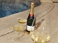 Option: MOËT & CHANDON Free-flowing