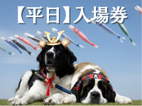 入場券（お盆平日）